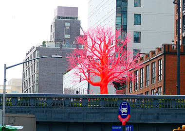 'Old Tree' New York