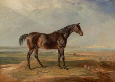 Brown Horse in Landscape Painting