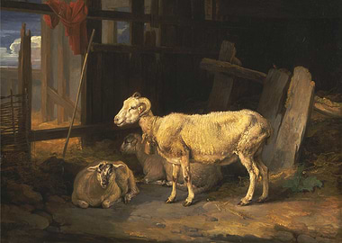 Sheep in a Barn Painting