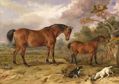 Horses and Dogs in a Landscape