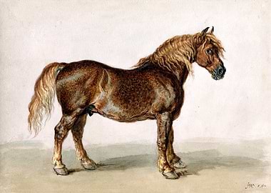 Brown Horse Watercolor Painting