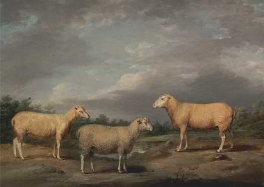 Sheep in a Landscape Painting
