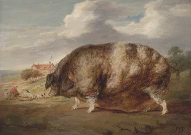 Enormous Pig in a Landscape Painting