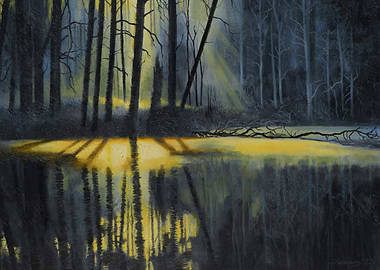 Sunlit Forest Reflection Painting