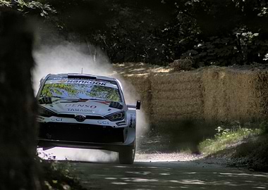 Rally Car Racing At Goodwood
