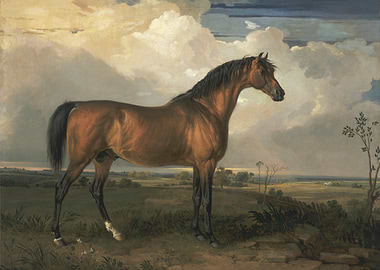 Horse Portrait in Landscape Painting