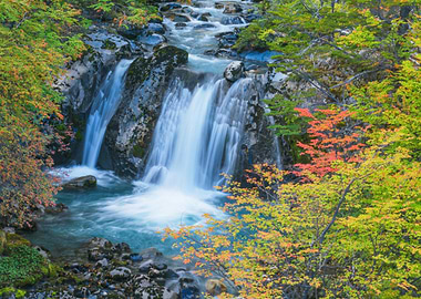Waterfall in Autumn Forest from Patagonia