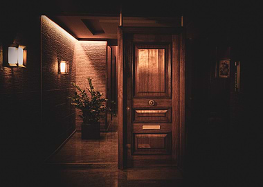 Dark Interior with Wooden Door and Plant