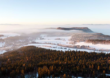 Winter Landscape with Fog and Forest