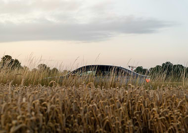 RS3 8V Sedan in a wheat field