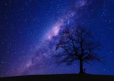 Milky Way Tree Silhouette