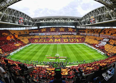 Galatasaray Stadium Crowd Display