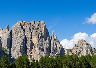 Mountain Peaks and Forest Landscape