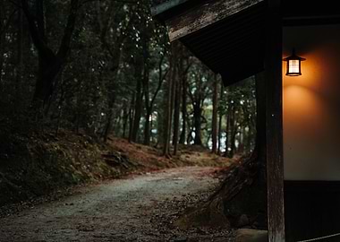 Japanese Lantern and Forest Path