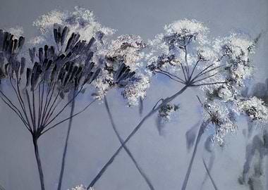 Floral Painting: White Queen Anne's Lace