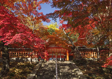 Autumn Temple in Japan Nara