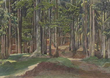 Watercolor Painting of a Dense Forest