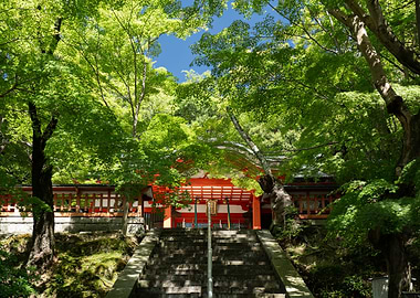 Japanese Temple Surrounded by Green Trees Nara Japan