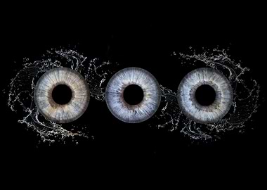 Three Irises with Water Splashes