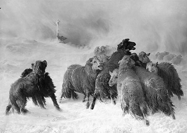 Lost Souvenir of Auvergne