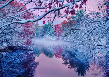 Winter River Landscape with Snow-Covered Trees