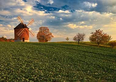 Windmill in a field at sunset