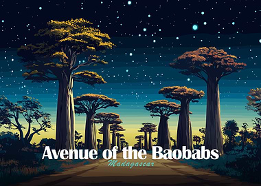 Avenue of the Baobabs, Madagascar