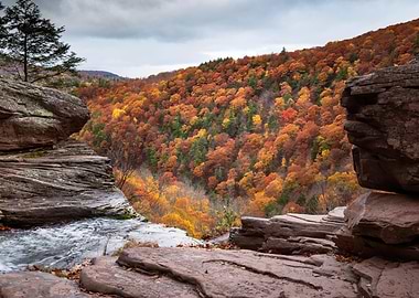 Autumnal Forest View from Rocky Outcrop