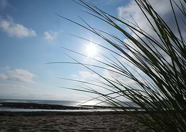 Summer sun on the beach
