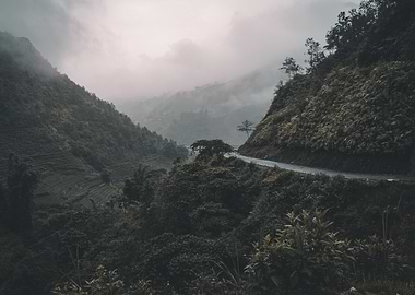 Misty Mountain Road Landscape