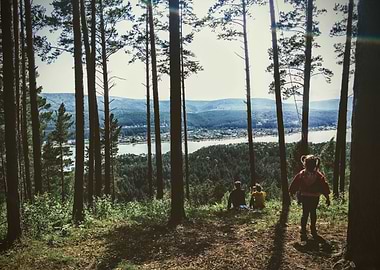 Children in Forest Overlooking Lake