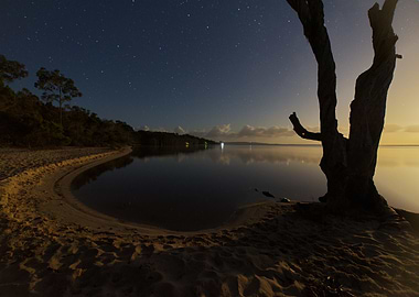 Night Lake with Stars and Tree