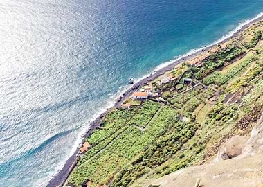 Coastal Village and Terraced Fields