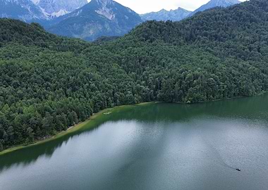 Lake and Forest Landscape