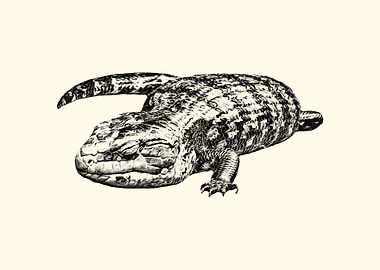 Detailed Lizard Illustration on Cream Background