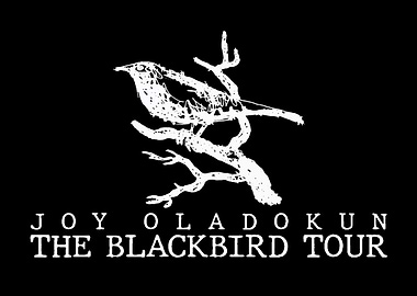 Joy Oladokun The Blackbird Tour