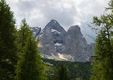 Marmolada mountain peak framed by green trees