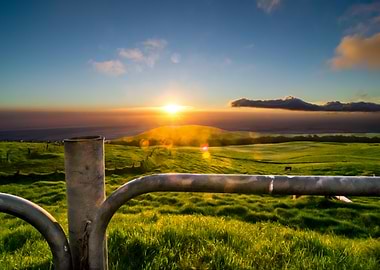 Sunrise over Green Pasture with Fence