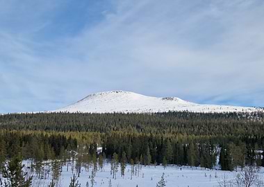 Snowy Mountain Landscape with Forest