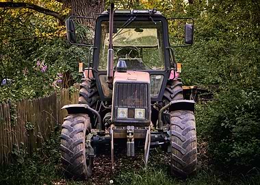 Belarus in the Garden