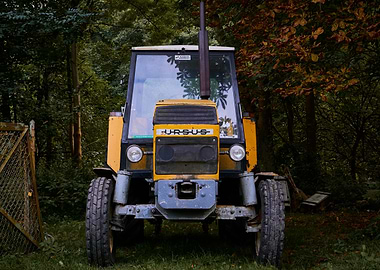 Rural Power – Ursus in the Forest