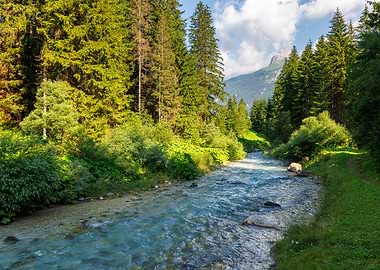 Avisio River Through Forest Landscape