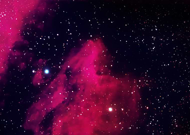 IC 5070 – Pink Pelican Nebula