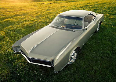 Classic Buick Riviera in Green Field