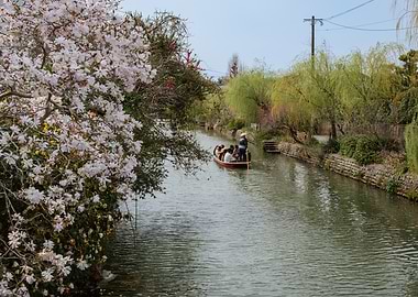 Cherry Blossom canal boat ride in Yanagawa, Japan