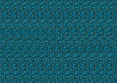 Beau Stereogram