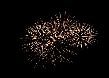 Golden Fireworks Display on Black Background