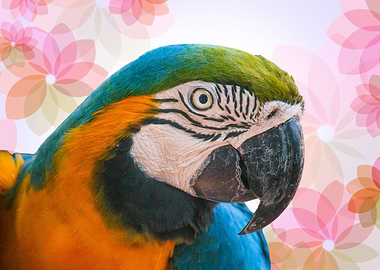 Colorful Parrot Portrait with Floral Background