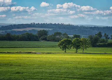 Lush Green Fields and Distant Hills