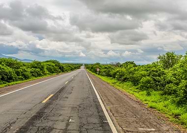 Long Road Brazil